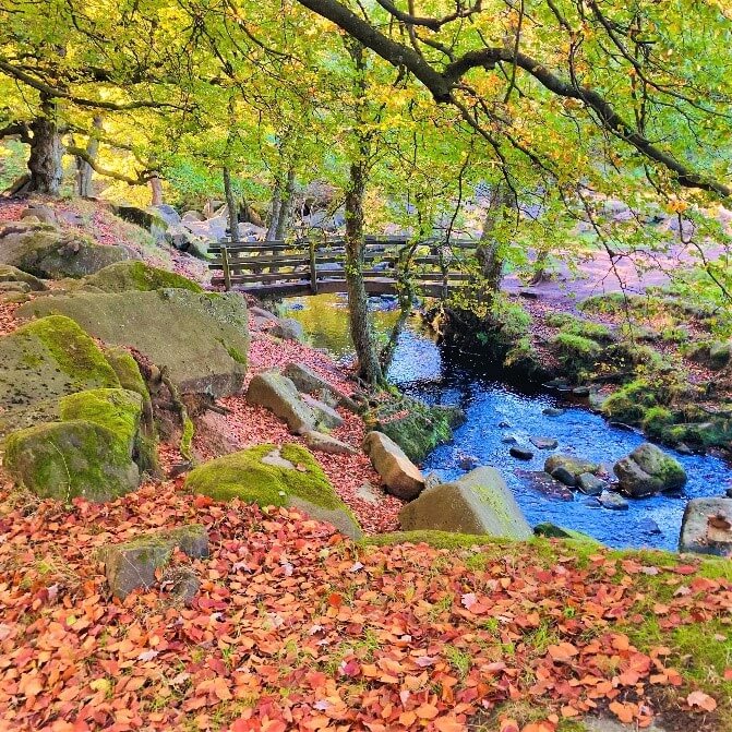 Padley Gorge